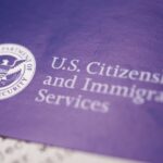 What are the Categories of Immigration Status in the U.S?